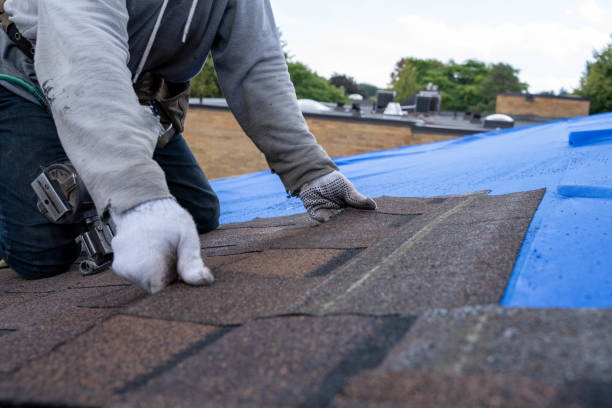 Best Tile Roofing Contractor  in Rogersville, AL